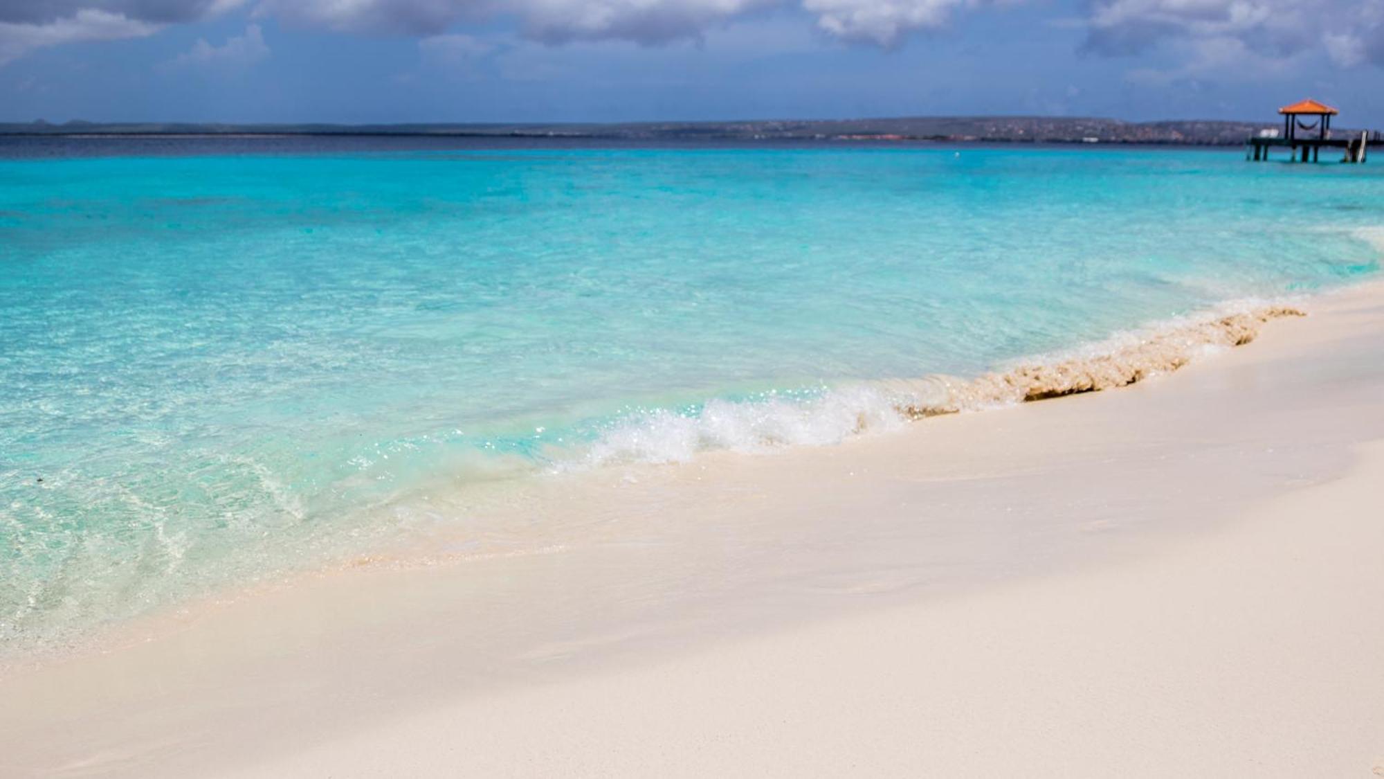 Isla Penthouse & Garden Apartments Bonaire Playa Exterior foto