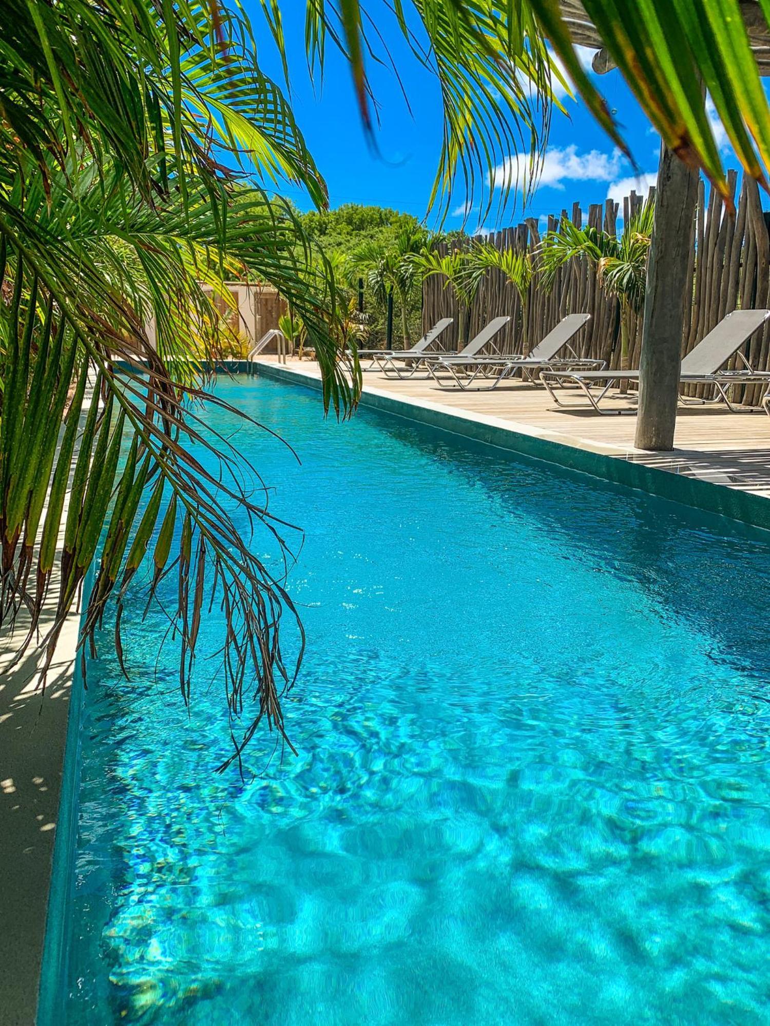 Isla Penthouse & Garden Apartments Bonaire Playa Exterior foto